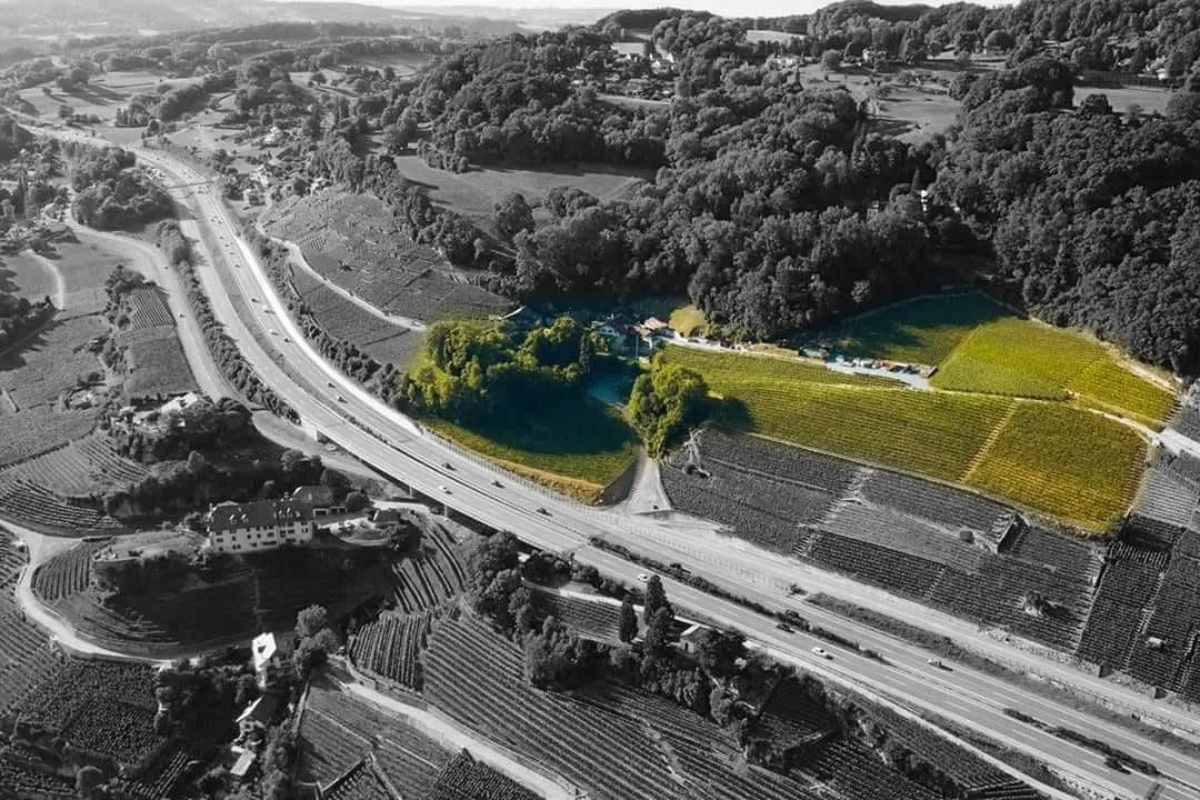 DomainedesRueyres domaine 1