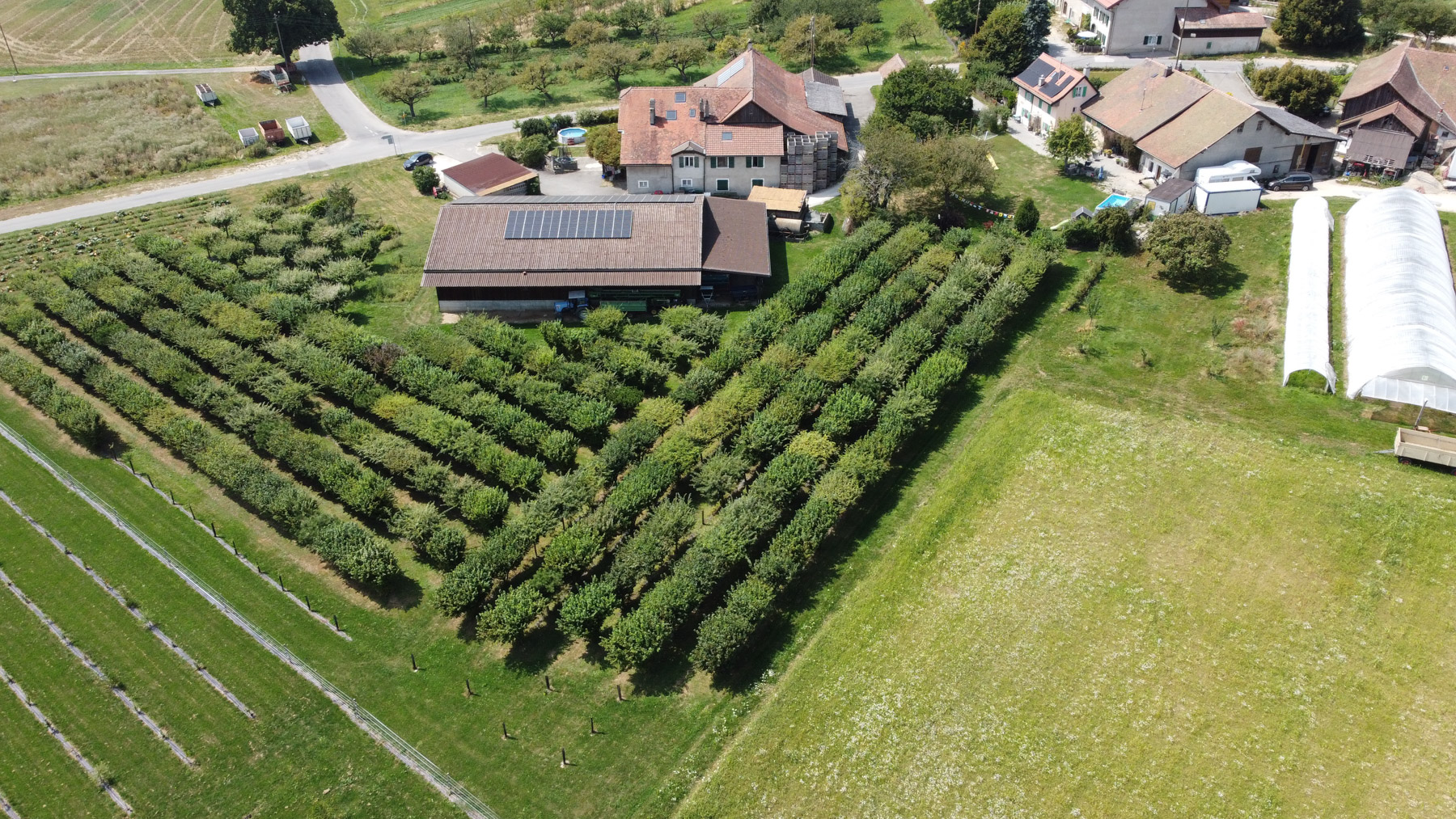 DCIM100MEDIADJI 0092.JPG