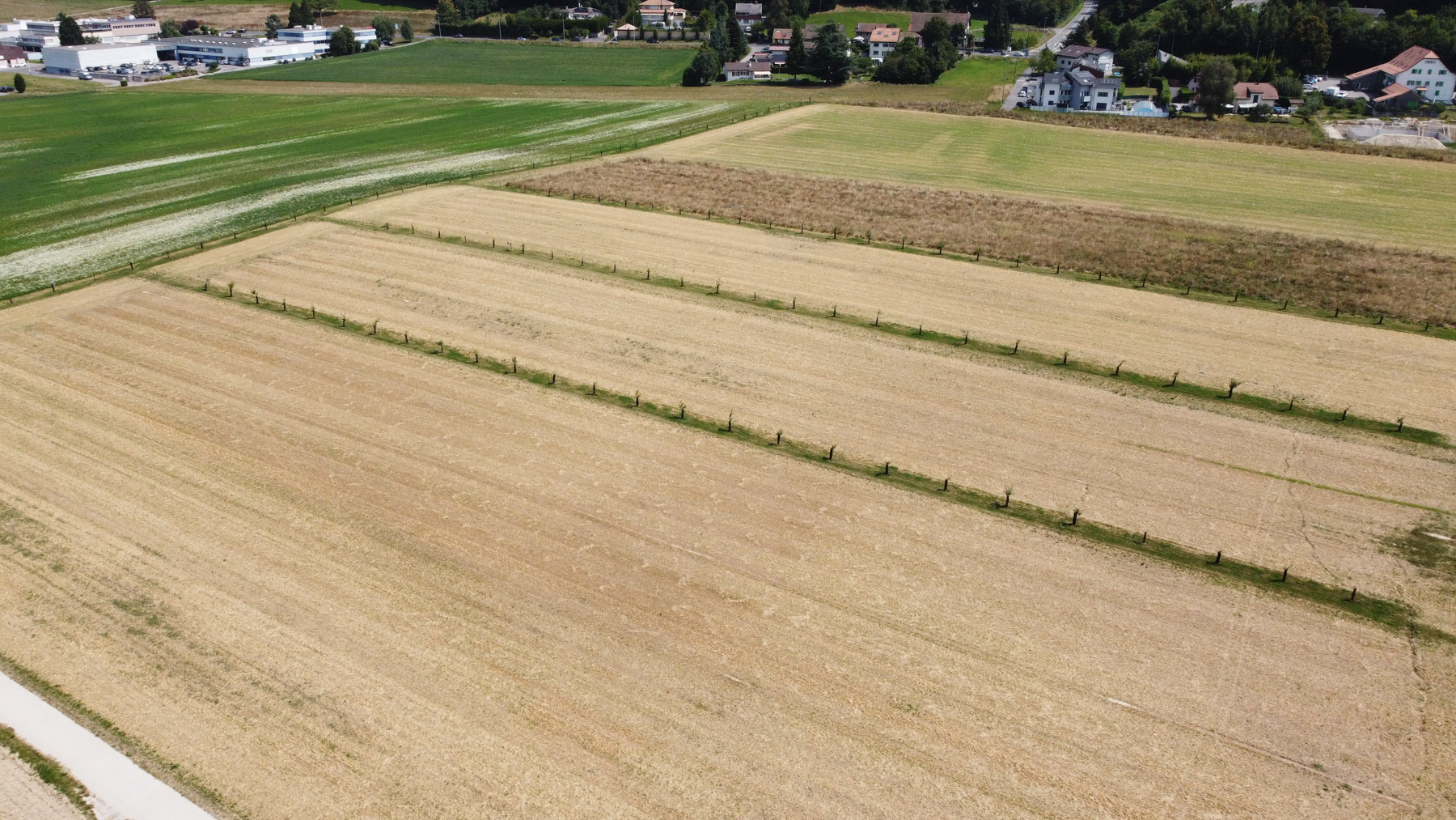 DCIM100MEDIADJI 0091.JPG