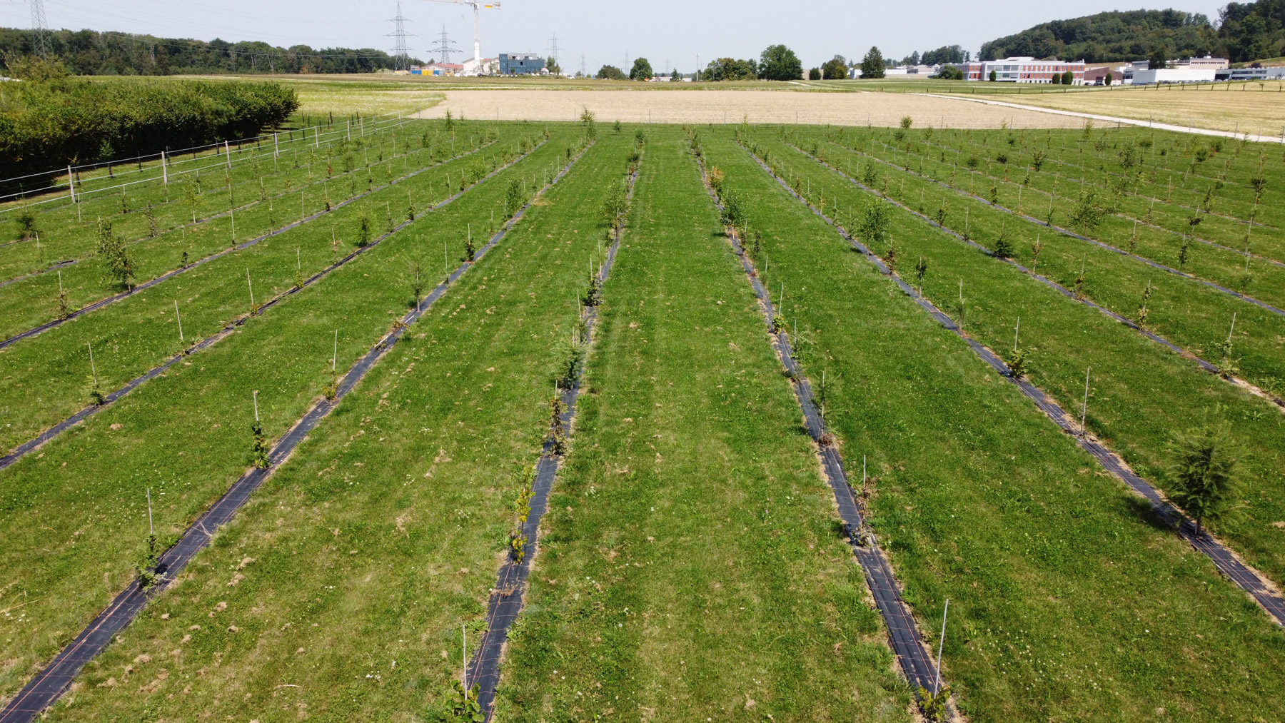 DCIM100MEDIADJI 0090.JPG