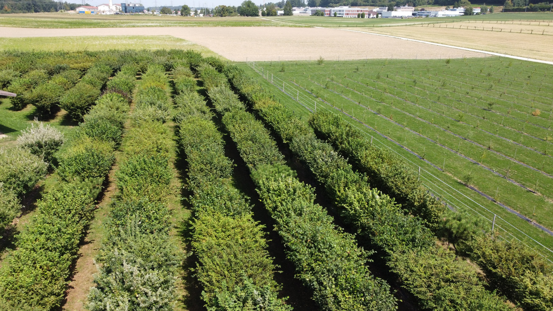 DCIM100MEDIADJI 0088.JPG