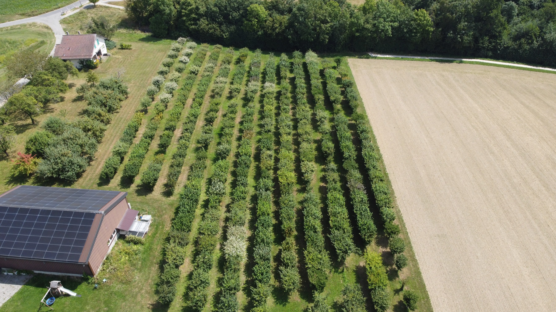 DCIM100MEDIADJI 0085.JPG