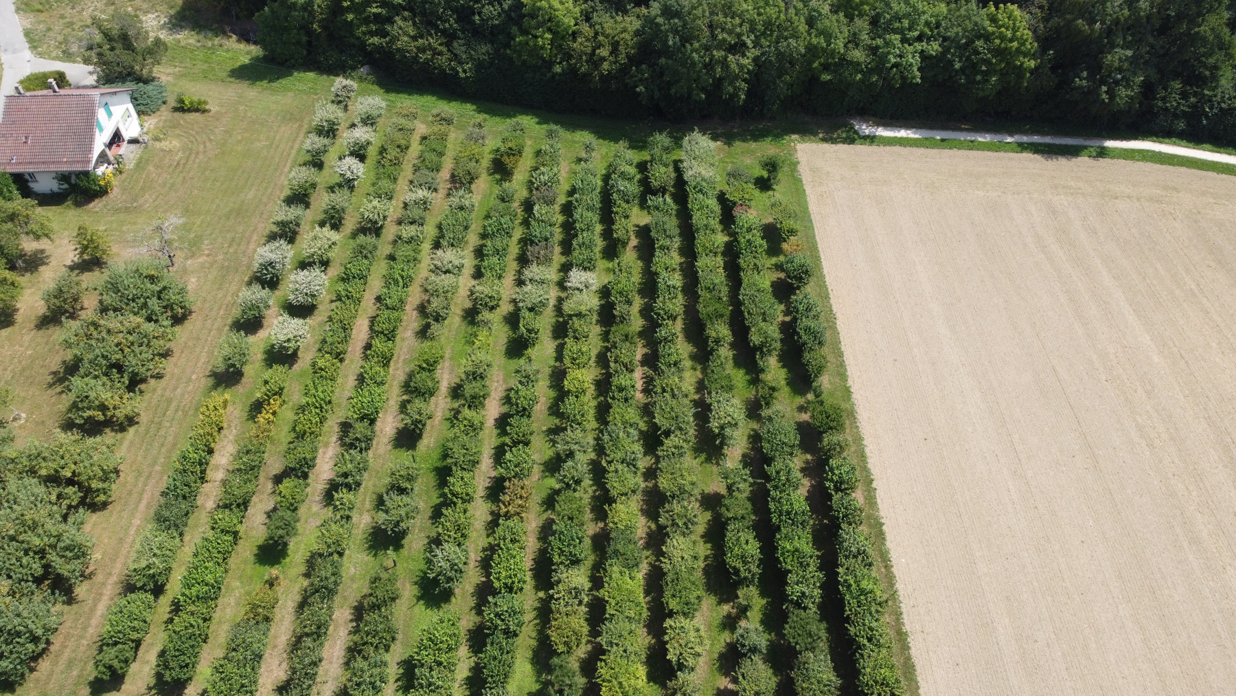 DCIM100MEDIADJI 0084.JPG