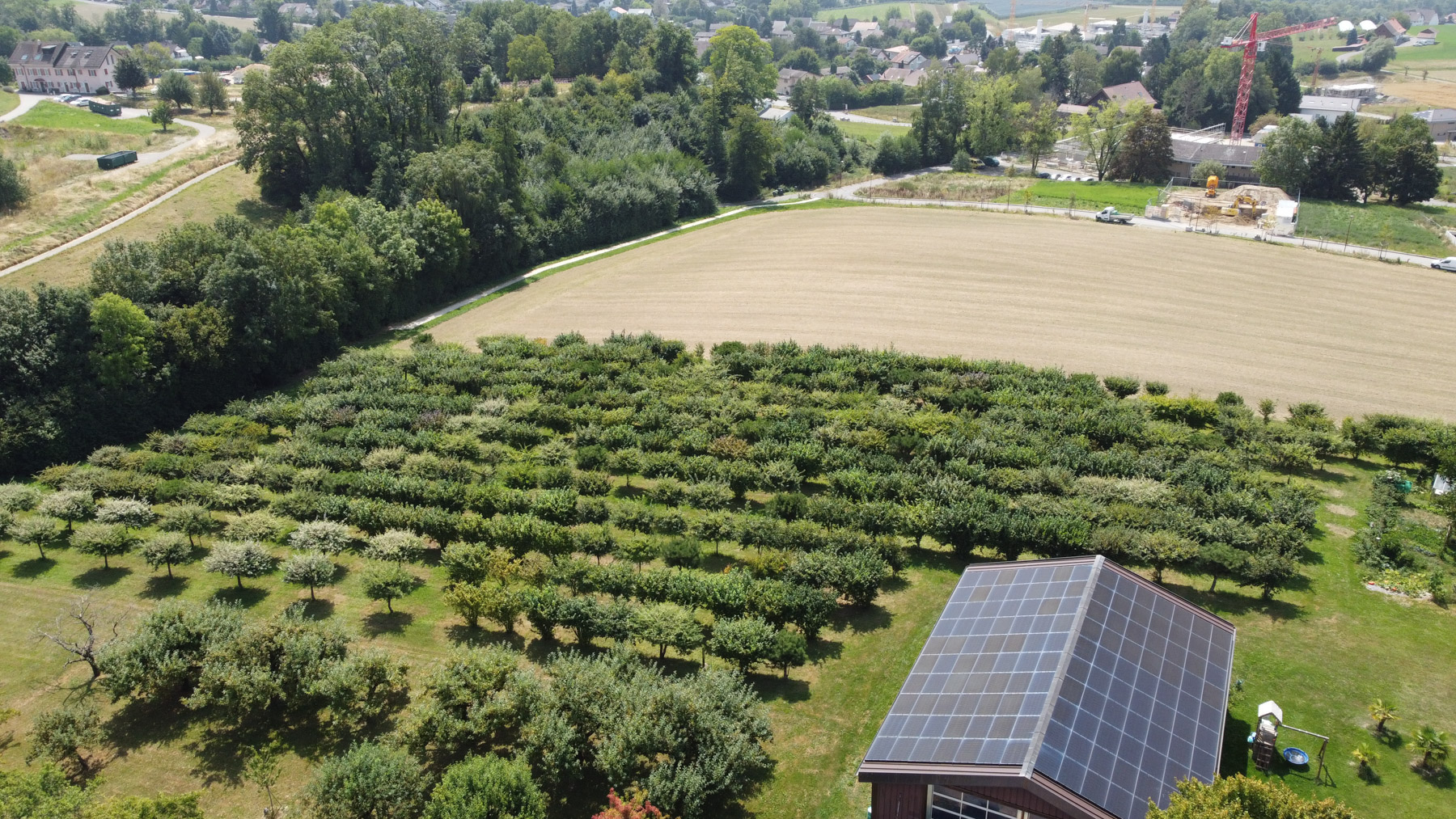 DCIM100MEDIADJI 0083.JPG