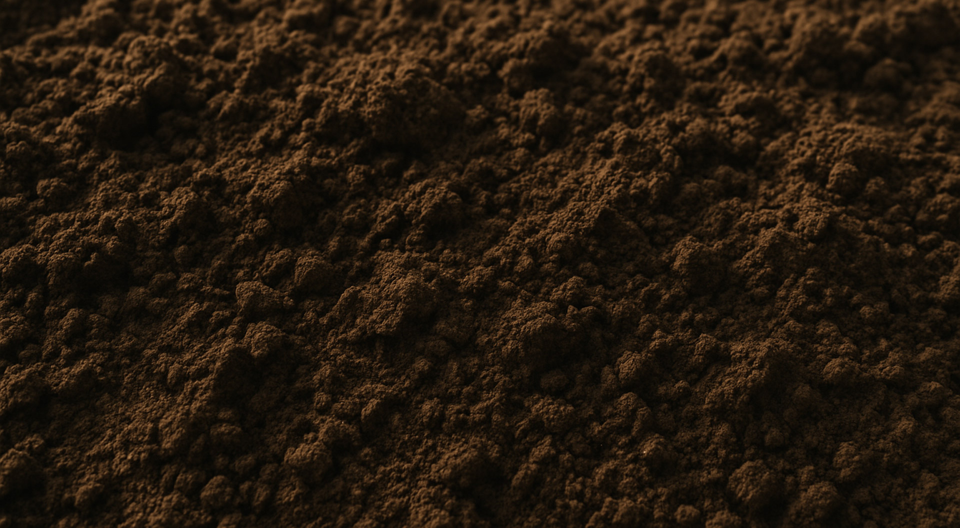 Christophe Corbas Truffe du Mont header nos autres productions