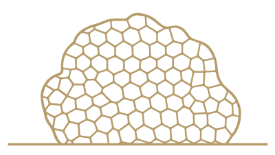 La truffe du Mont icon