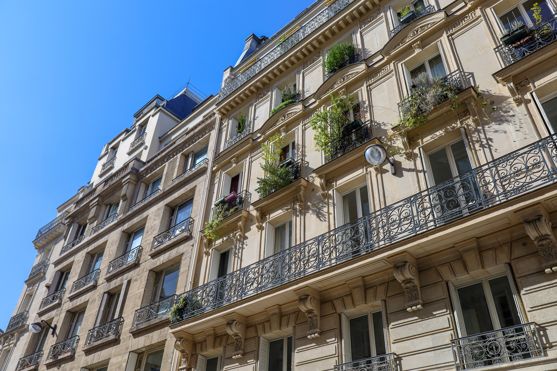 OpusConseils-Immobilier-Header